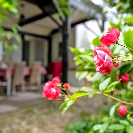 La Maison Des Tortues Casa vacanze Saint-Sébastien-sur-Loire